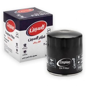 فیلتر روغن پژو کاسپین FW-815 مناسب پژو 405 و سمند